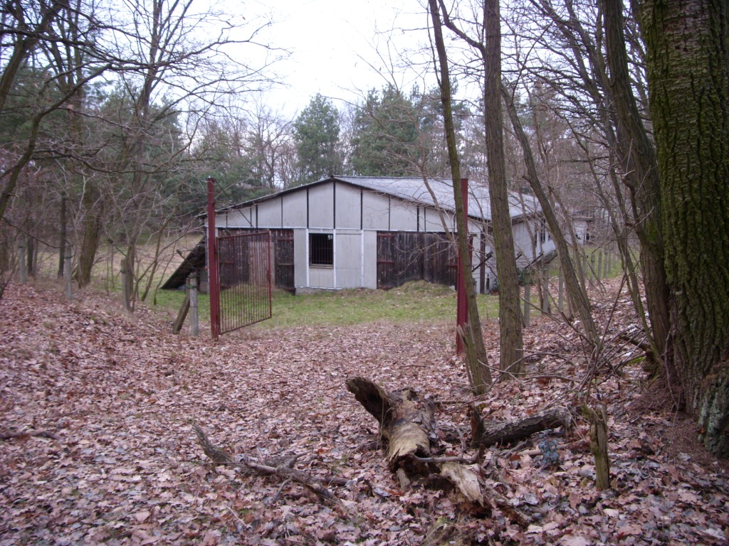 Zufahrt und Tarnbaracke