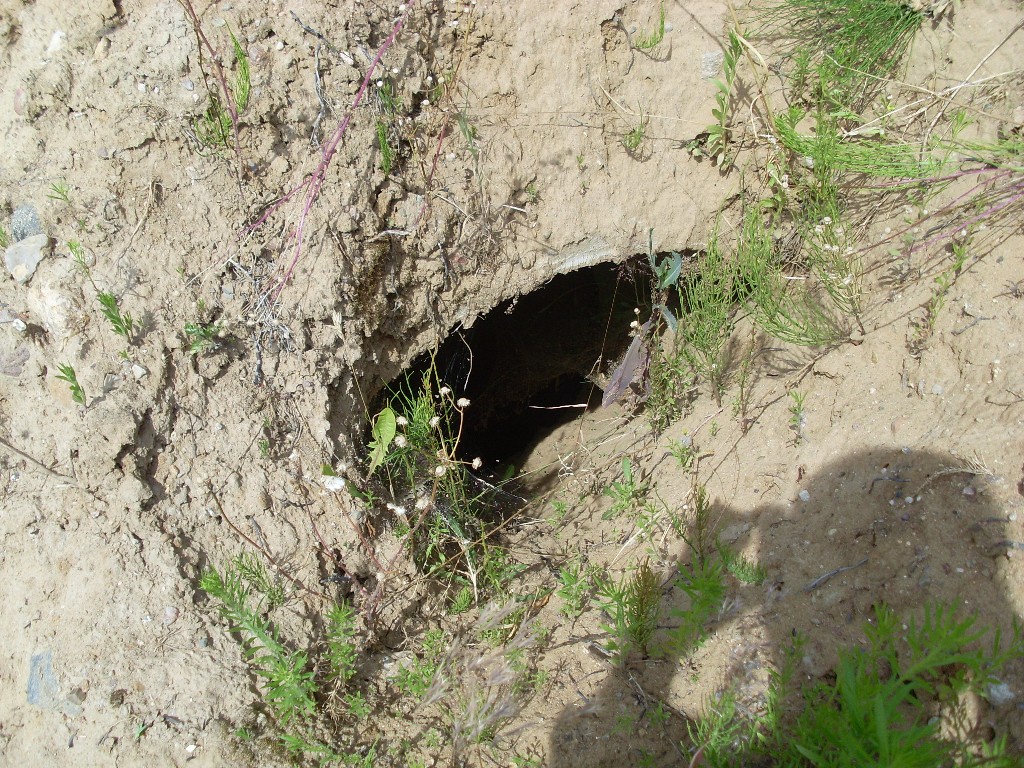 Hügel und Garagen OBORONA 14