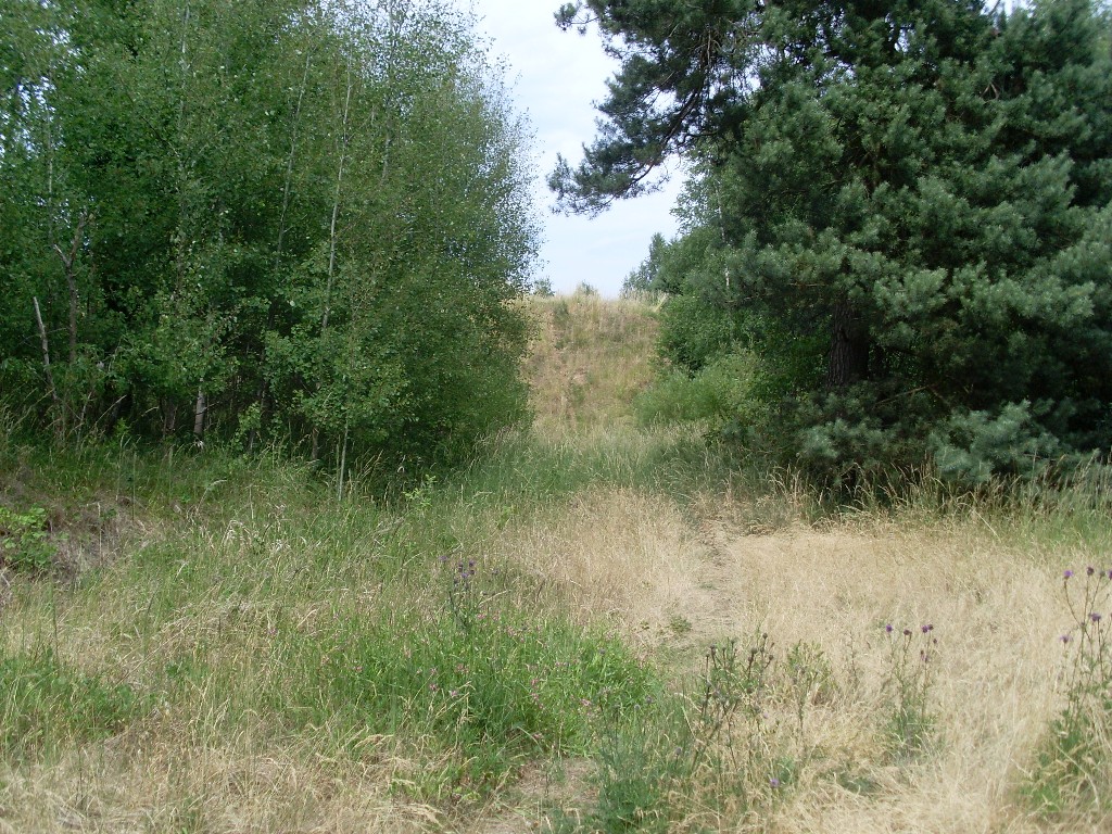 FB-75 für Aufhellstation K-1