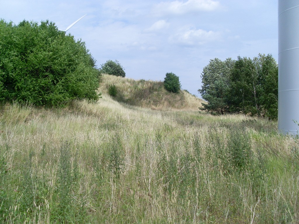 FB-75 für Aufhellstation K-2