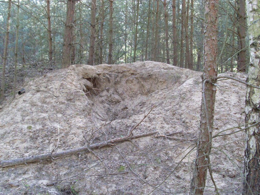 Probegrabung am FM-Bunker