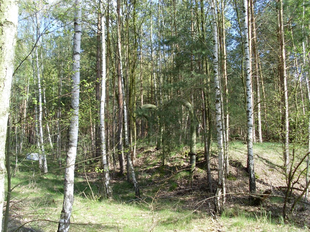 Komplex aus 6 FB-3 + Monolith