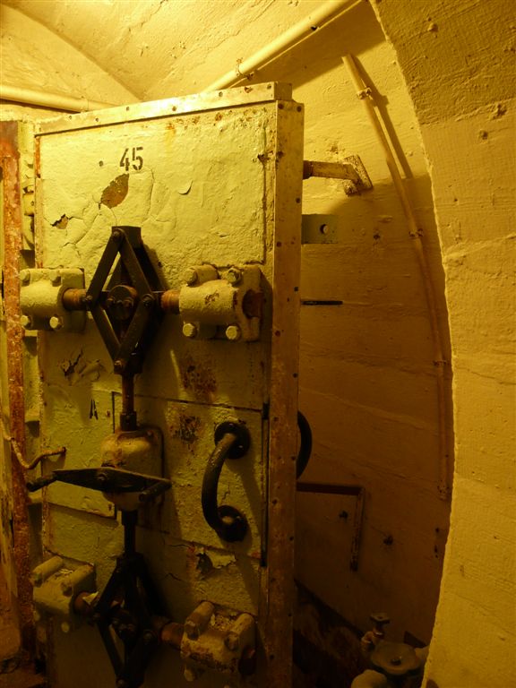 ДЗ 80-180/10 Schutztür