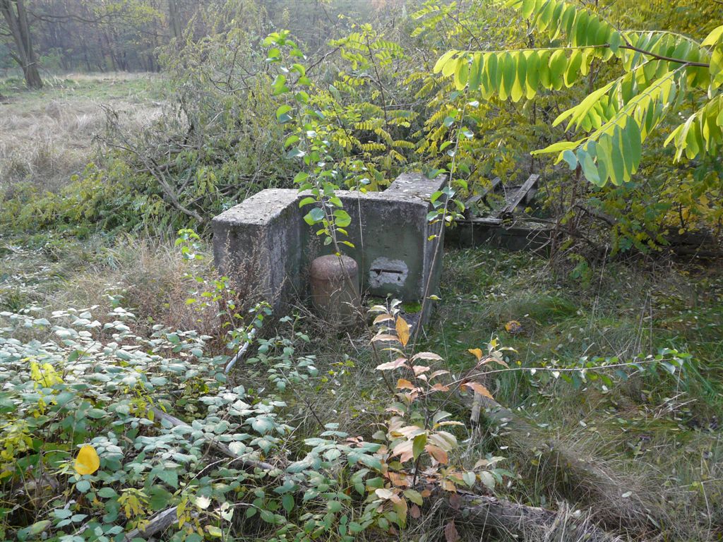 Ferngeber mit Schutzhaube