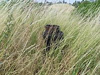 Mannshaftsbunker FB-3