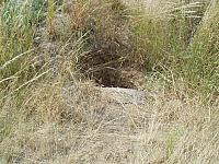 Mannshaftsbunker FB-3