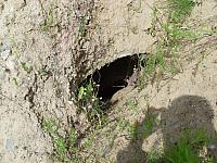 Hügel und Garagen OBORONA 14