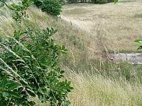 FB-75 für Aufhellstation K-2