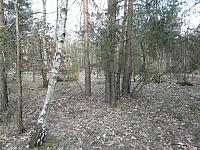 Feldflugplatz Alteno (JG-1) - Funkfeuer