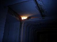 Fledermaus Einflugschneise